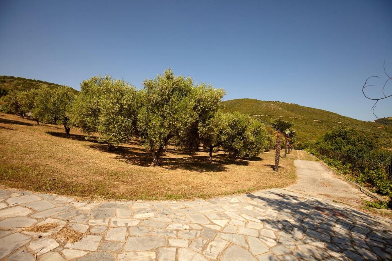 Villa Maria By Rentalspro Services - Ouranoupoli Halkidiki Exterior foto